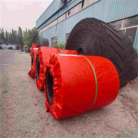 הזמנות סחר חוץ של החברה ממשיכות להישלח